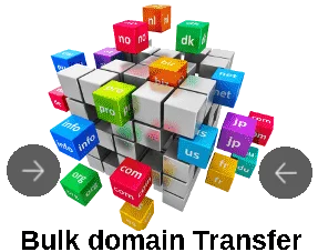 bulk domain name transfers