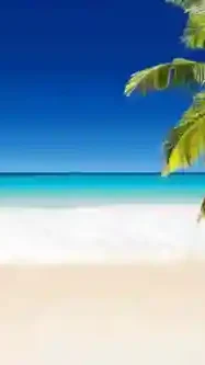 background image for mobile phones