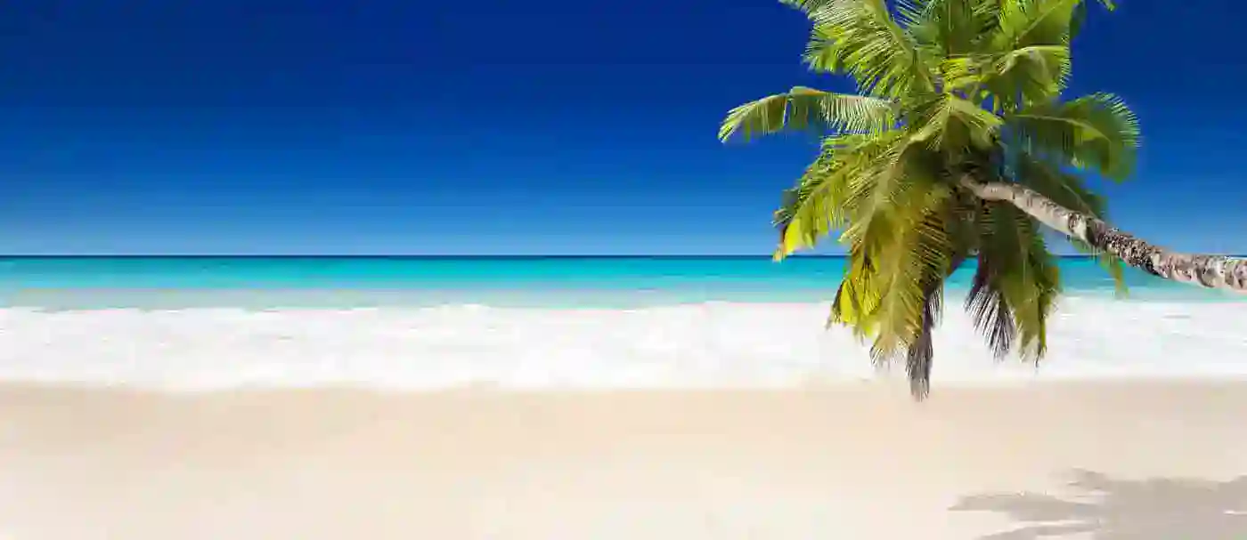domain name search image lay on the beach
