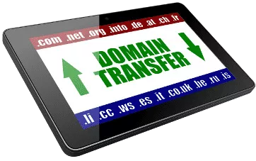 domain-name-single-transfer