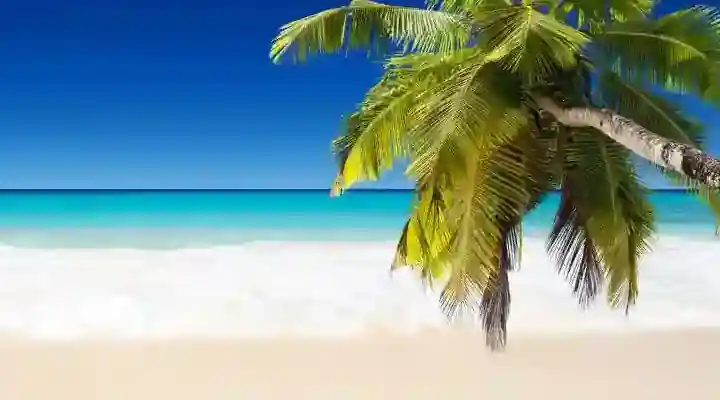 background image for mobile phones