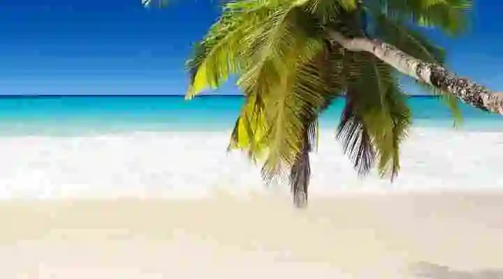 background image for mobile phones